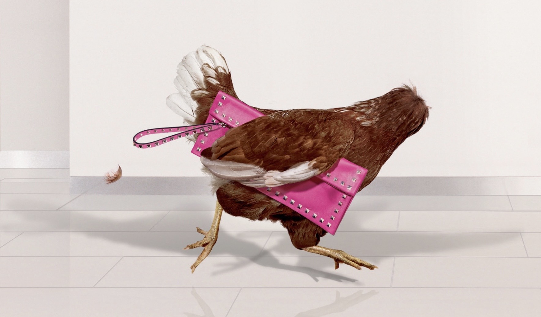 Harvey Nichols — Fashion Chickens